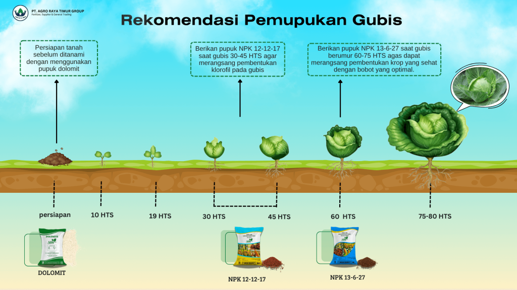 rekomendasi pemupukan gubis